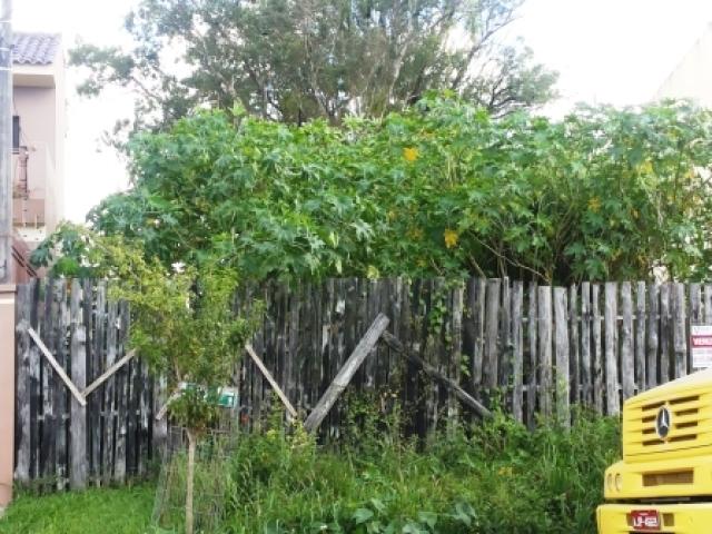 #T1501 - Área para Venda em Pelotas - RS - 1