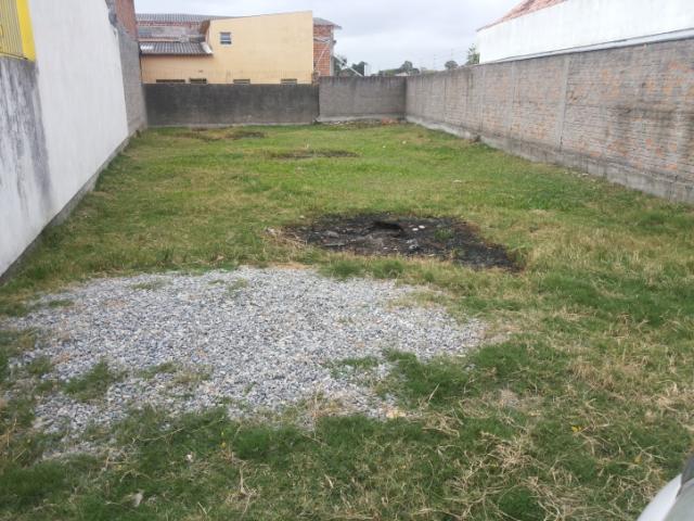 #T005 - Terreno para Venda em Pelotas - RS - 3