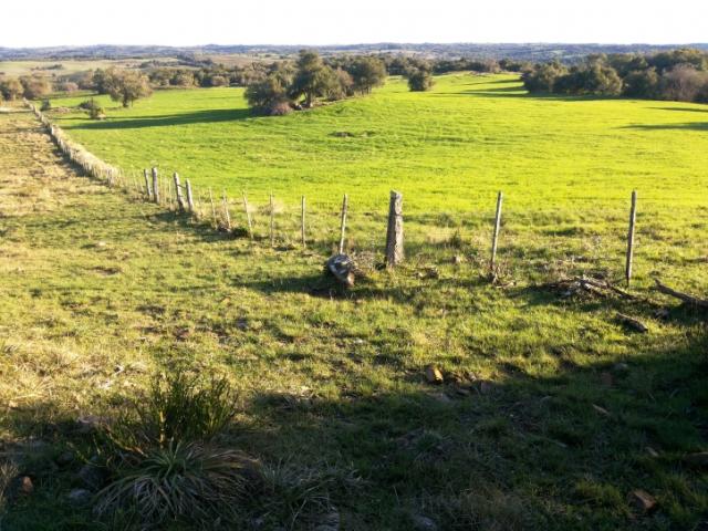#R1044 - Fazenda para Venda em Piratini - RS - 3